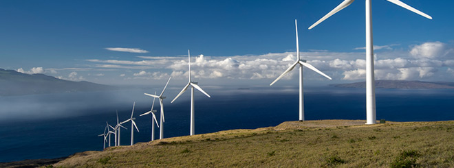 Wind farm off the coast